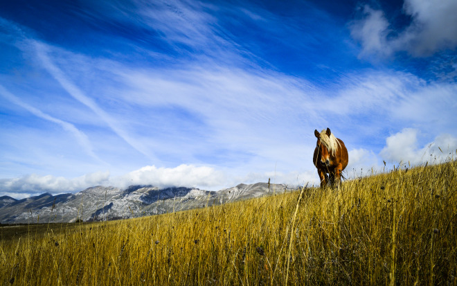 a Ton of Love - A. Passerini