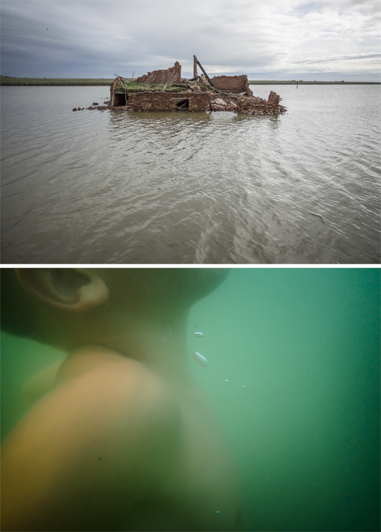 Delta-d'Acqua_A.Passerini-M.B.Tartari_AMACI